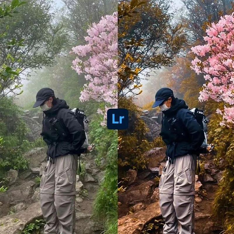 Free Lightroom Presets: Top Film Emulation Styles for 2025 5 30 Amazing Images Before And After 3