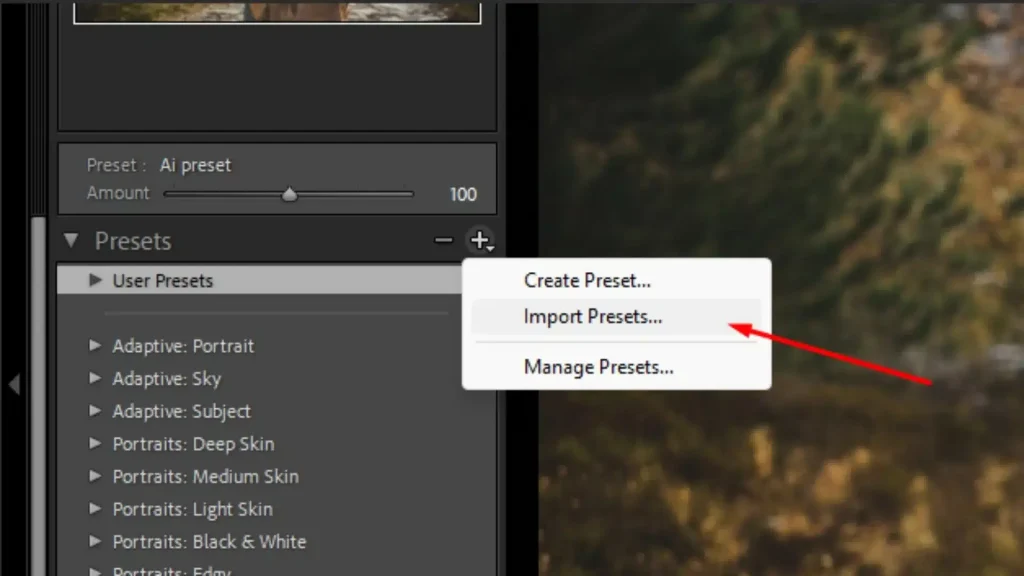 Free Lightroom Presets: Top Film Emulation Styles for 2025 8 How to Install a Lightroom Preset